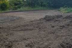 IMG-20211114-WA0051