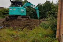IMG-20211114-WA0056