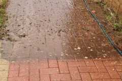IMG-20211114-WA0115